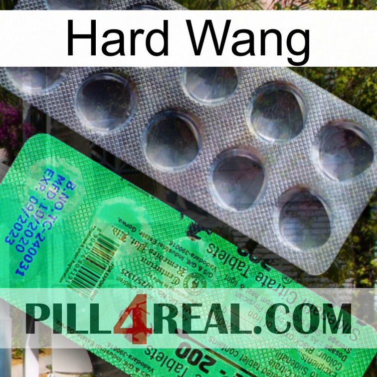 Hard Wang new04